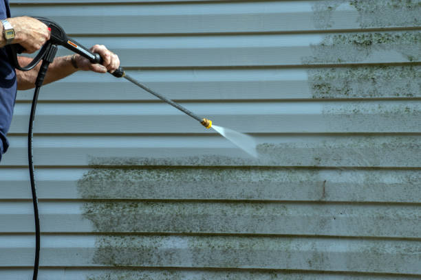 Best Roof Cleaning and Mildew Removal in Newton Falls, OH